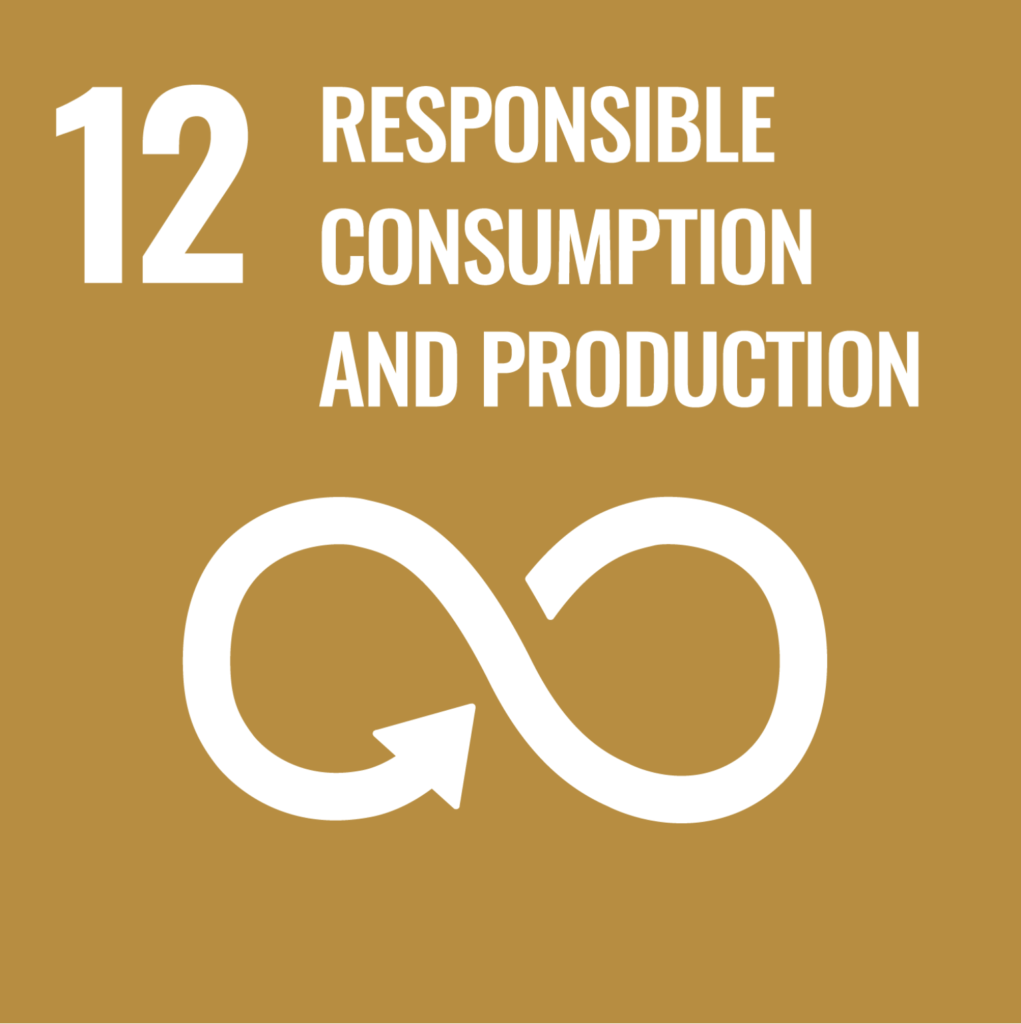 The UN's Goal for sustainable development 12: Responsible consumption and production.