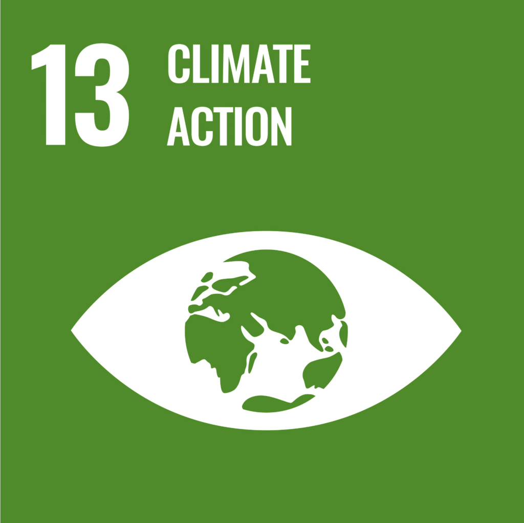 The UN's Goal for sustainable development 13: Climate Action.
