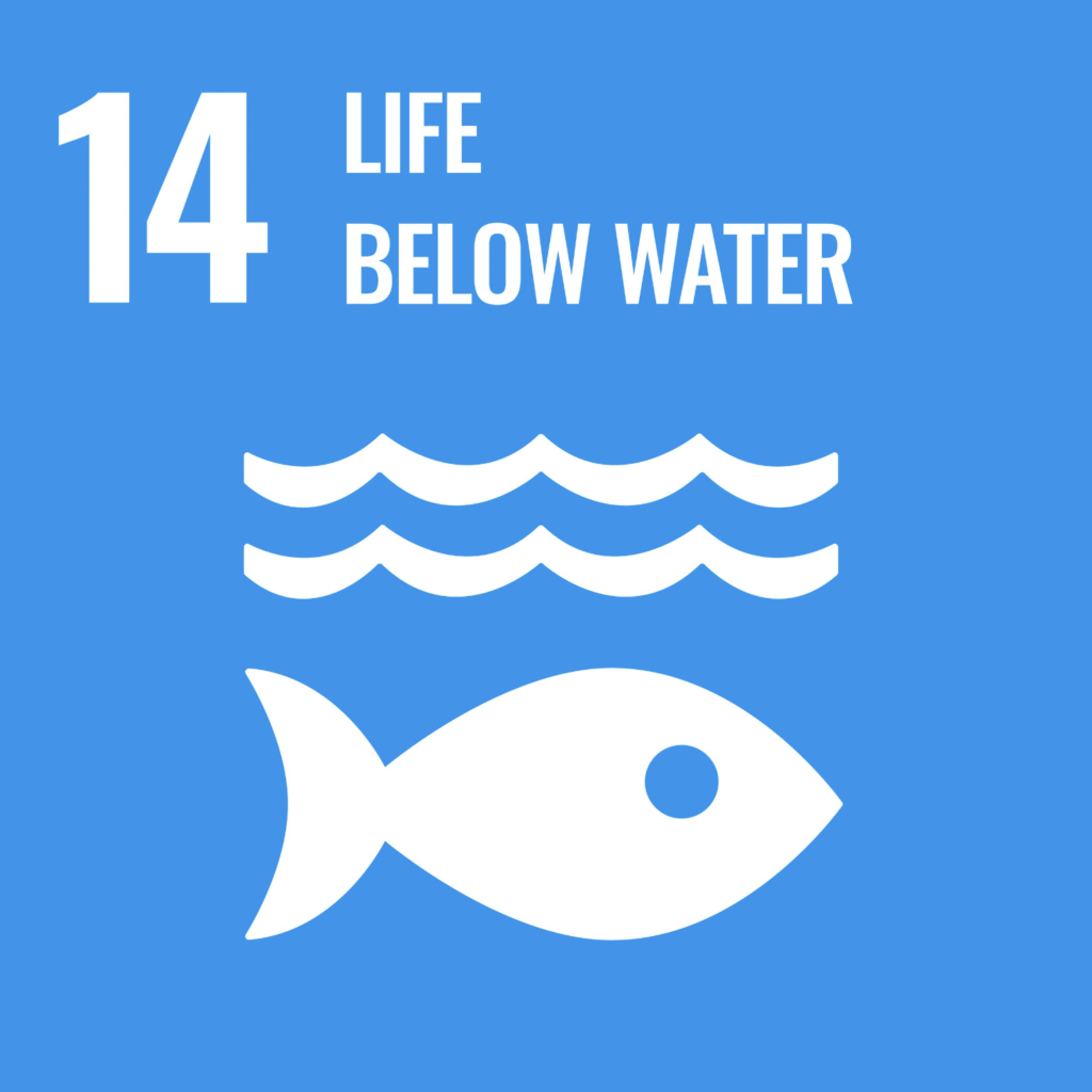 The UN's Goal for sustainable development 14: Life Below Water.